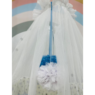 ناموسية ذات كرتان كبيرتان